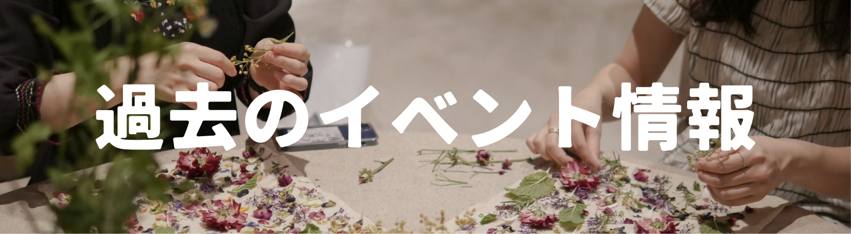 過去のイベント情報