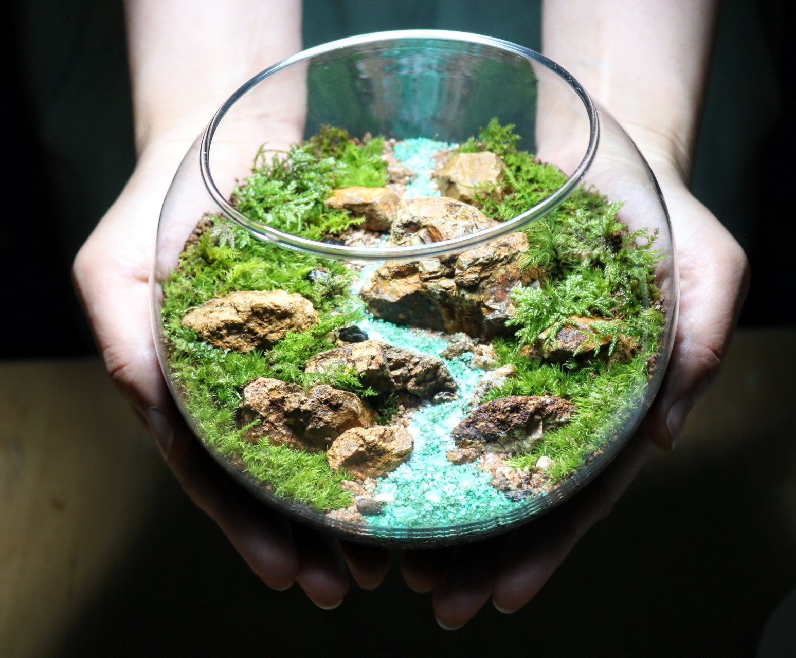 錢屋塾》植物の魅力に触れる苔テラリウム ～両手のひらの小さな地球 
