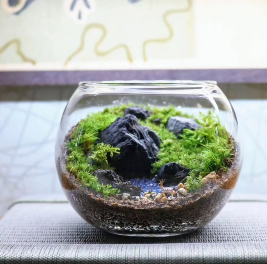 錢屋塾》植物の魅力に触れる苔テラリウム ～丸形ガラスの中の小さな 
